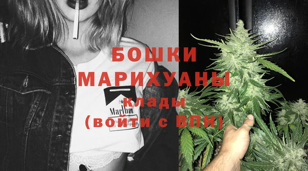 PSILOCYBIN Абаза