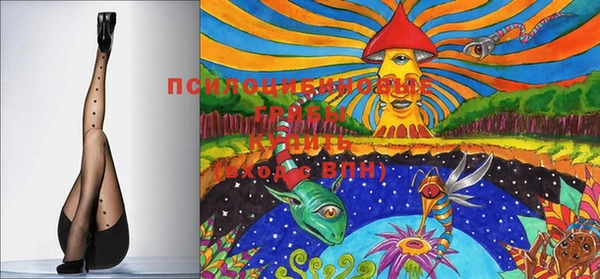 PSILOCYBIN Абаза