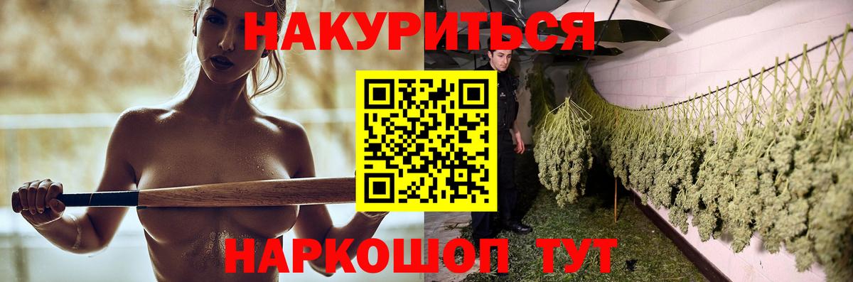 Александров  Конопля сатива  Бошки марихуана план  Канабис White Widow  Бошки марихуана тримм  Вход с VPN 